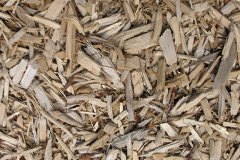 biomass boilers Llangynhafal